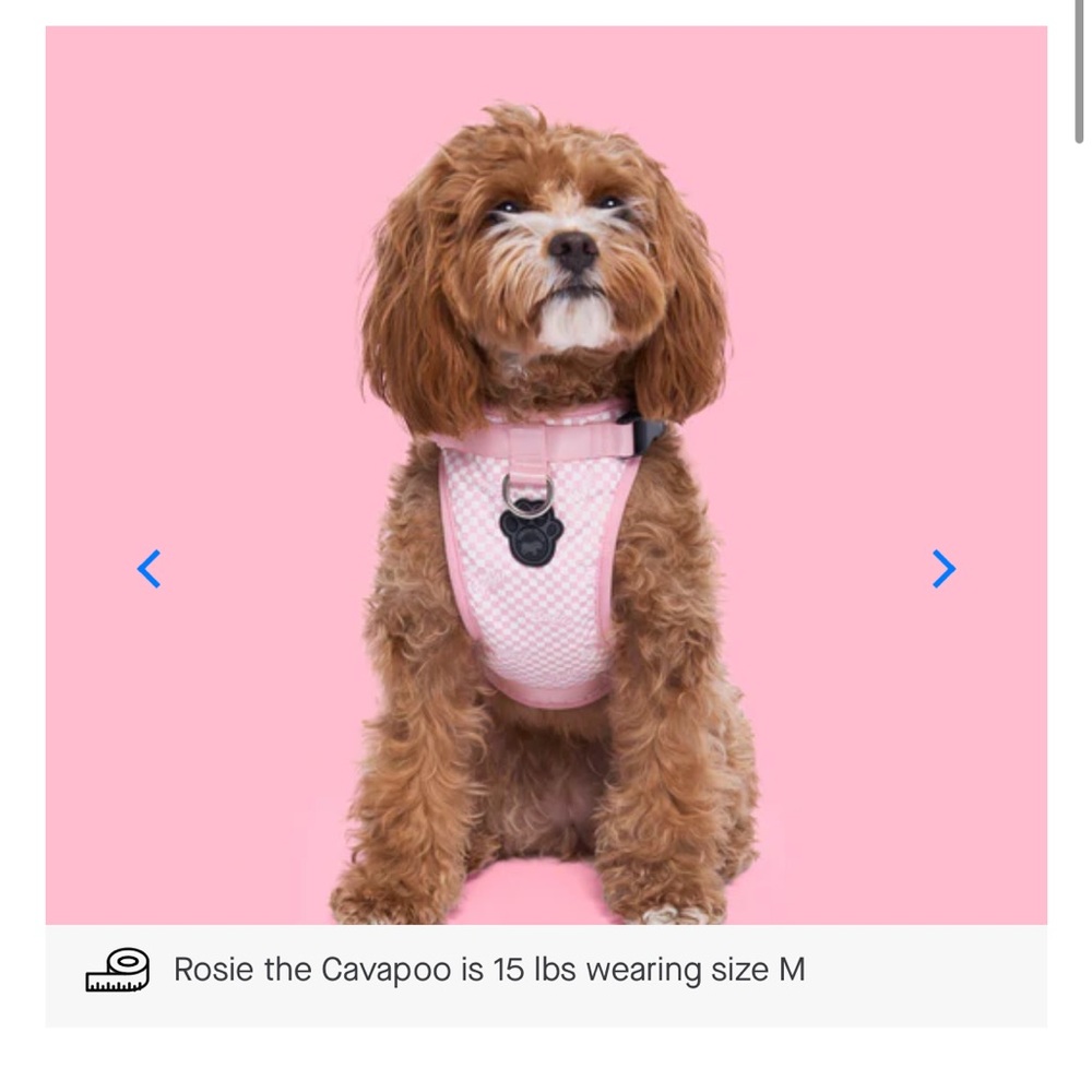 Canada Pooch Barbie Everything Dog Harnesss